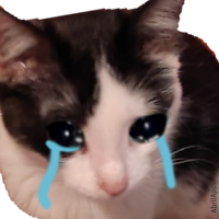 WAStickerApps Stickers Cats