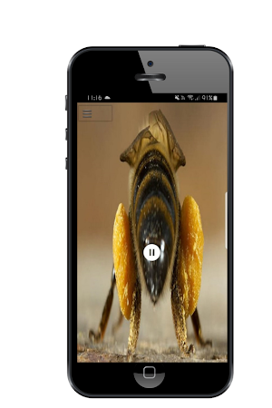 Bee sound Screenshot 0