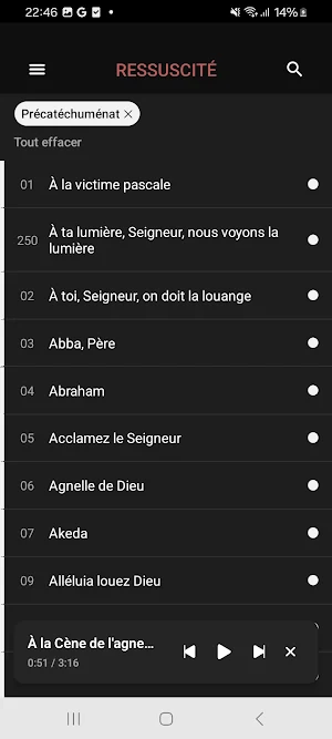 Ressuscité Screenshot 2