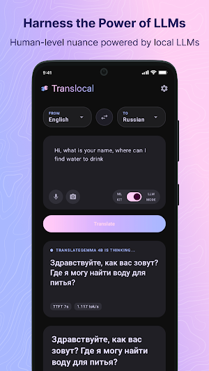 Translocal-Local AI Translator Screenshot 3