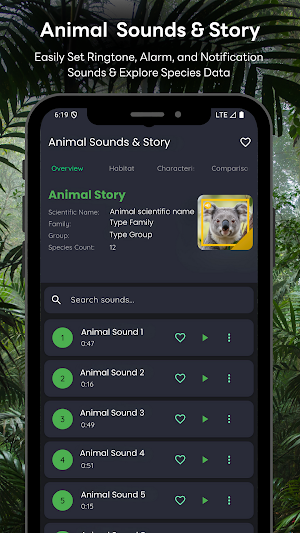 Koala-Bear Sounds & Story Screenshot 0