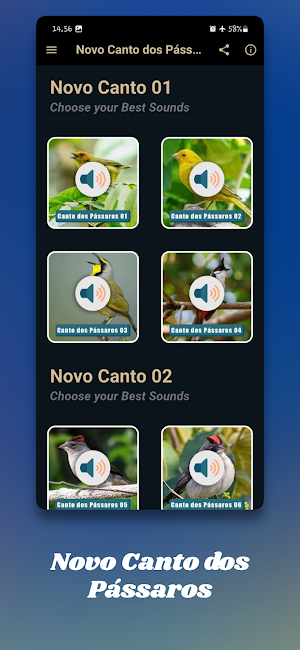 Novo Canto dos Pássaros Screenshot 1