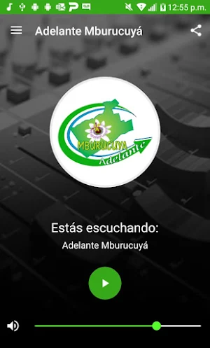 Adelante Mburucuyá Screenshot 1