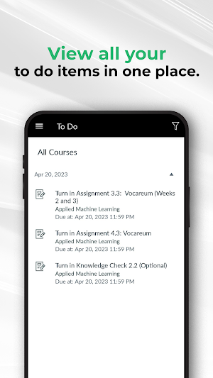 Emeritus Classroom Screenshot 2