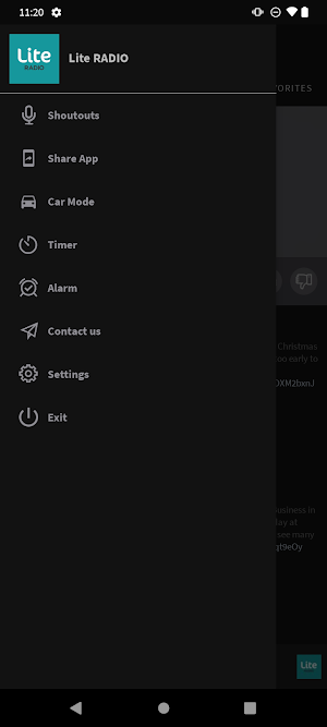Lite RADIO Screenshot 0
