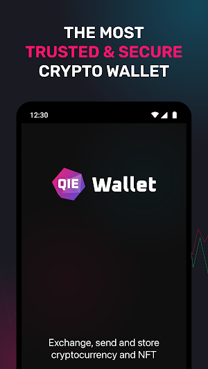 QIE Wallet Screenshot 0