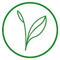Kijani Forest Manager