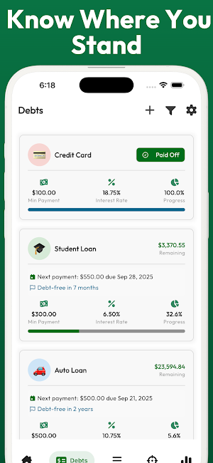 Debt Payoff Planner Guide Screenshot 3