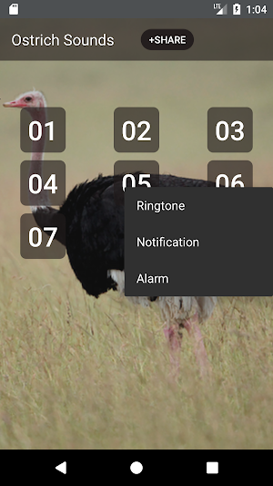 Ostrich and Emu Sounds Screenshot 1