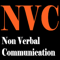Non verbal communication