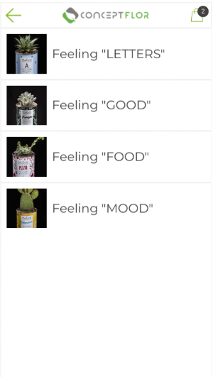 Conceptflor Screenshot 2