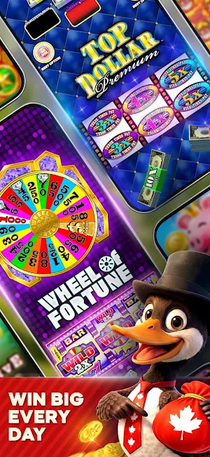 Lucky Loonie Jackpots Screenshot 2