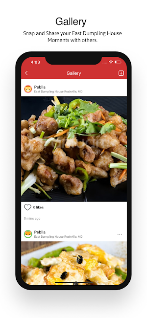 East Dumpling House Screenshot 3