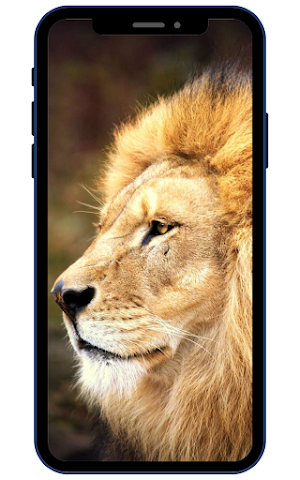 Wild Animal Wallpaper 4K Screenshot 1
