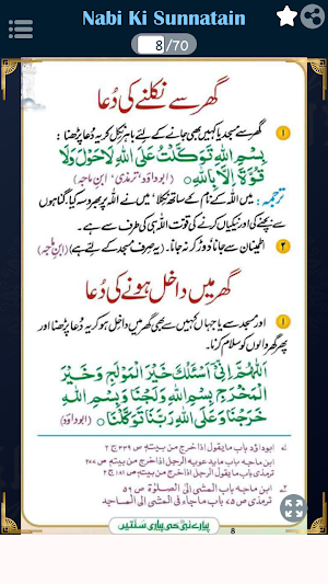 Pyare Nabi(PBUH) ki Sunnatain Screenshot 2