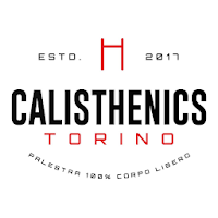 Calisthenics Torino