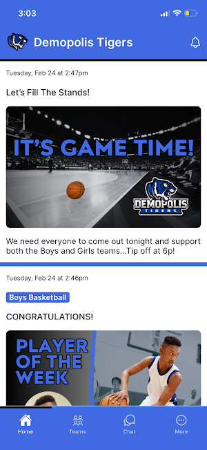 Demopolis Tigers Screenshot 0