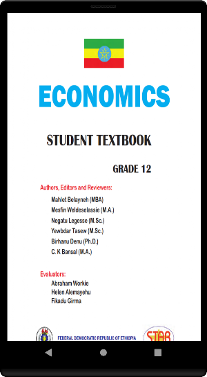 Economics Grade 12 Screenshot 1