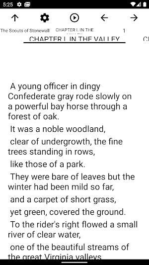 Book, The Scouts of Stonewall Screenshot 1