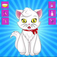 Jungle Animal Beauty Saloon