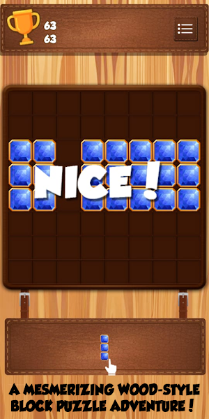 WoodBlockPuzzle : Block Puzzel Screenshot 2