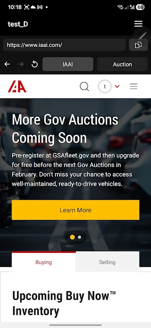 USAuction Screenshot 2