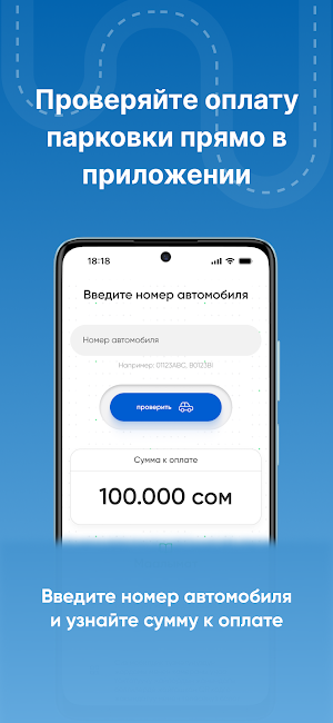 Бишкек Паркинг Screenshot 0