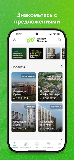 Wellsoft Elements Development Screenshot 2