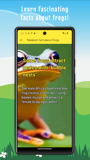 Frog Croaking App Screenshot 3