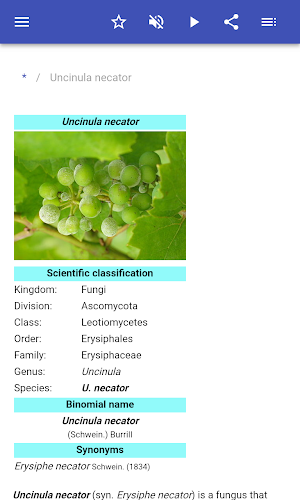 Plant diseases Screenshot 1