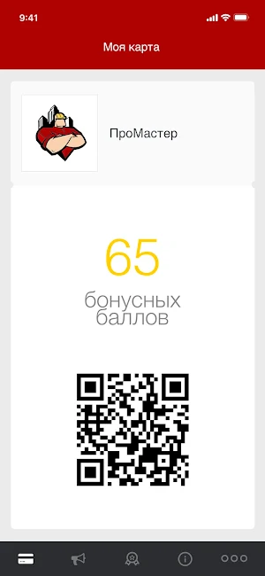 ПроМастер Screenshot 1