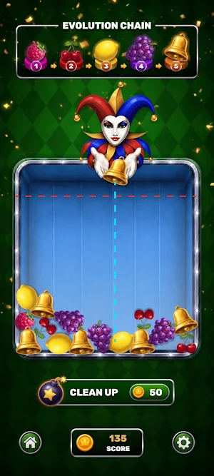 Jester Jumbles Screenshot 3