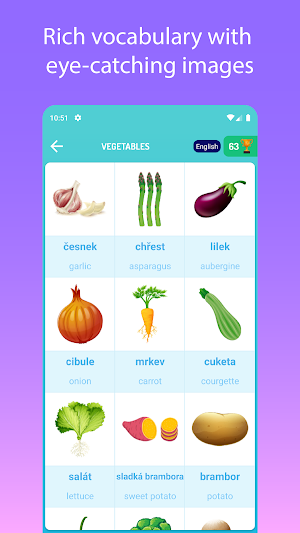 Learn Czech - Speak Czech Screenshot 2