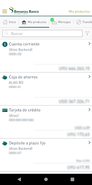 Bonanza Banco Screenshot 2