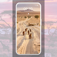 African Wildlife Wallpaper 4K