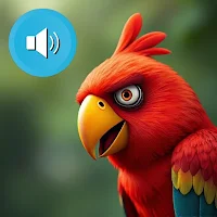 Angry Parrot Sounds 4K