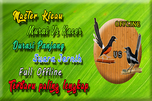 Suara Kacer Dan Murai Batu Screenshot 3