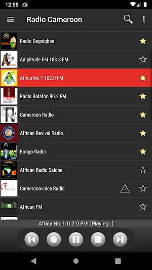 RADIO CAMEROON Screenshot 1
