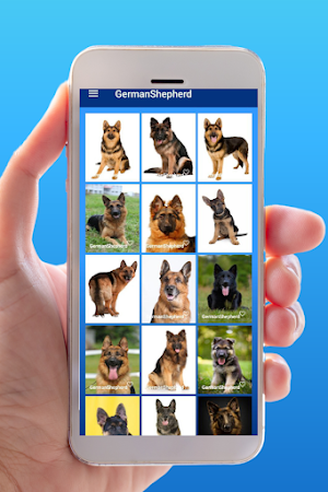 Dog Images - Dog Wallpapers Screenshot 1