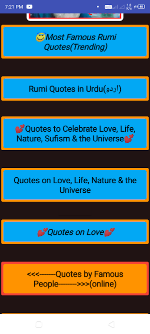 Rumi Quotes Offline-Motivation Screenshot 0