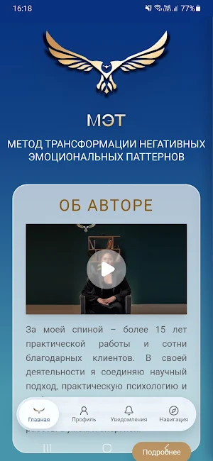 MET Screenshot 1