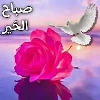 صور صباح الخير