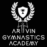 ArtVin Gymnastics Academy