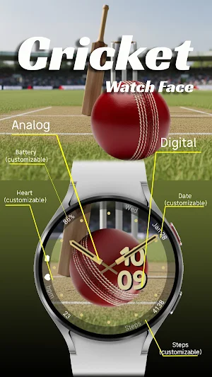 Cricket (Animated) Screenshot 1