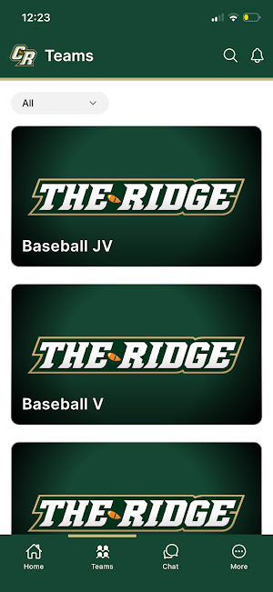 Catawba Ridge Copperheads Screenshot 1