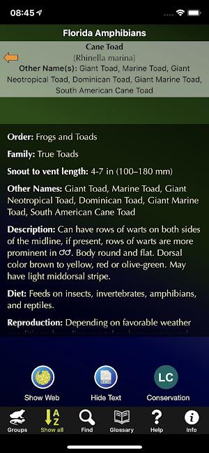 Florida Amphibians Screenshot 1