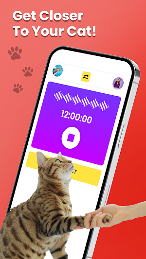Cat Translator - Talk to Cat Screenshot 1