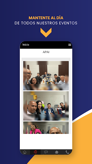 APAI Screenshot 2