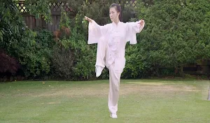 Tai Chi for Beginners - 48 Form (YMAA) Screenshot 2