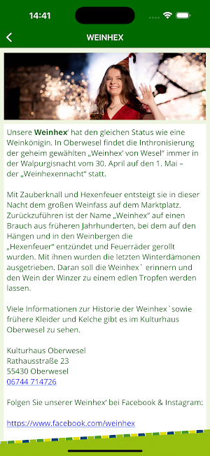 Oberwesel Screenshot 3